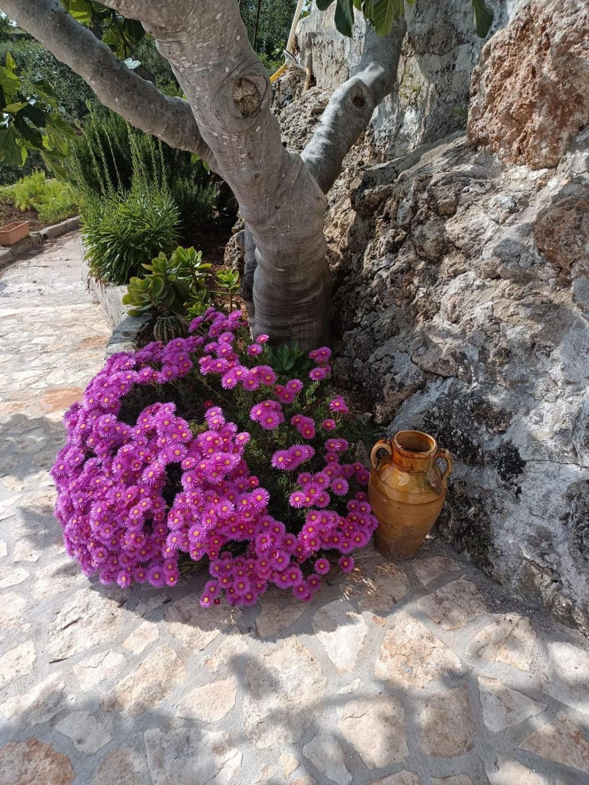 Villa La Casa Di Nonno Fasano Exterior foto